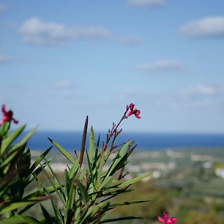 Iperion Apartment G2-2 Agia Triada エクステリア 写真